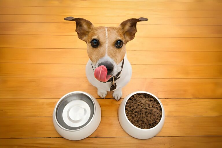 Top 10 Ways Royal Canin Hypoallergenic Food Provides Support