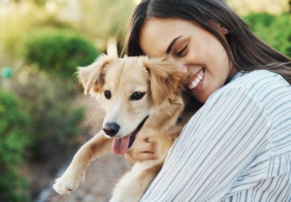 The New Pet Wellness Revolution: Smart Choices in a Crowded Marketplace