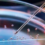 How Stem Cell Therapy Helped an Entrepreneur Return to Work After a Neurological Disorder